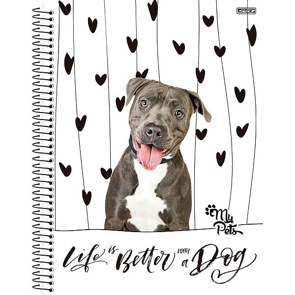 Caderno 10x1 capa dura my pets 160f - animativa (pct.c/04)