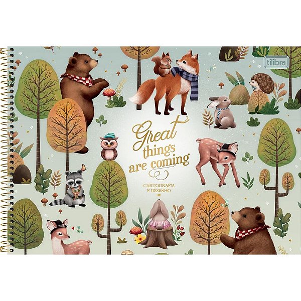 Caderno desenho univ capa dura loveland 80fls. - tilibra (pct.c/04)