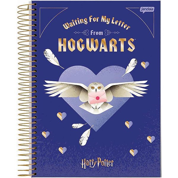 Caderno 01x1 cp.dura colegial harry potter 80fls. - jandaia (pct.c/04)