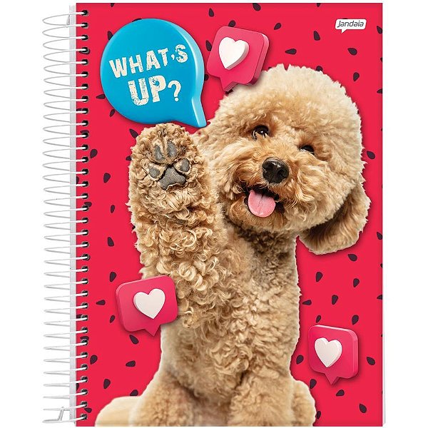 Caderno 01x1 capa dura pets love 80fls. - jandaia (pct.c/04)