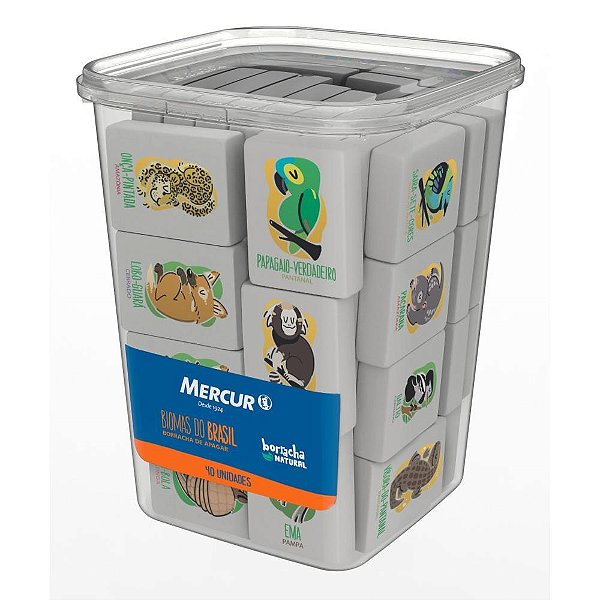 Borracha decorada natural biomas do brasil (s) - mercur (pote-40)