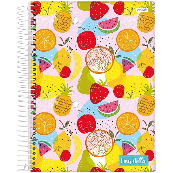 Caderno 20x1 capa dura stella 320fls. - jandaia (pct.c/02)