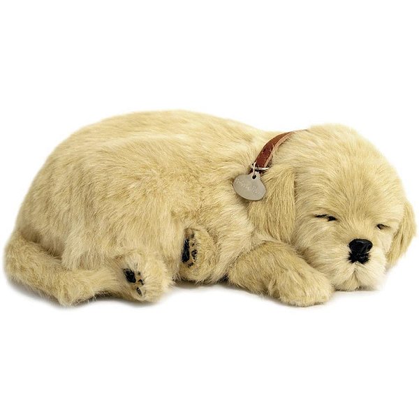 Perfect petzzz filhote cachorro labrador retriever - imex (unidade)