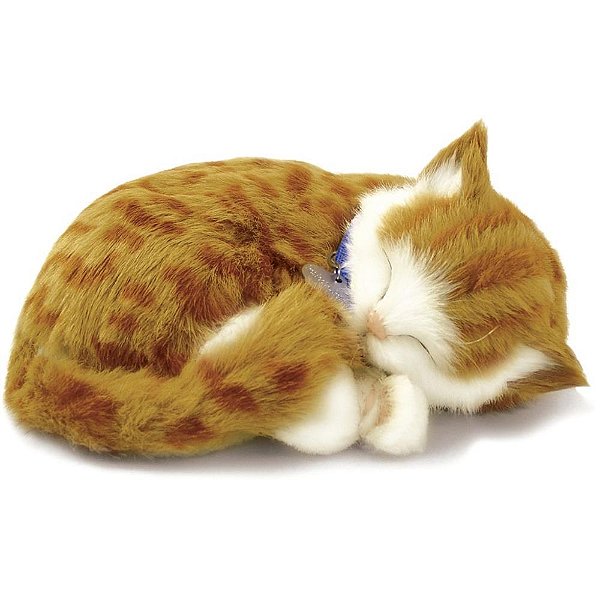 Perfect petzzz filhote gato orange tabby - imex (unidade)