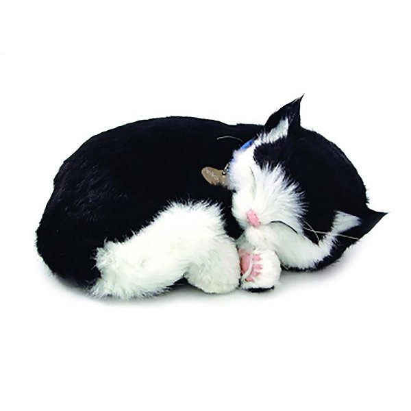 Perfect petzzz filhote gato black e white shorthair - imex (unidade)