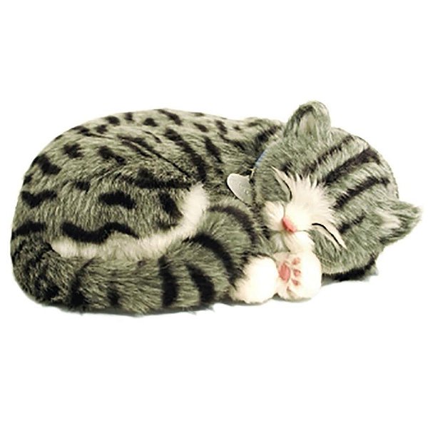 Perfect petzzz filhote gato gray tabby - imex (unidade)