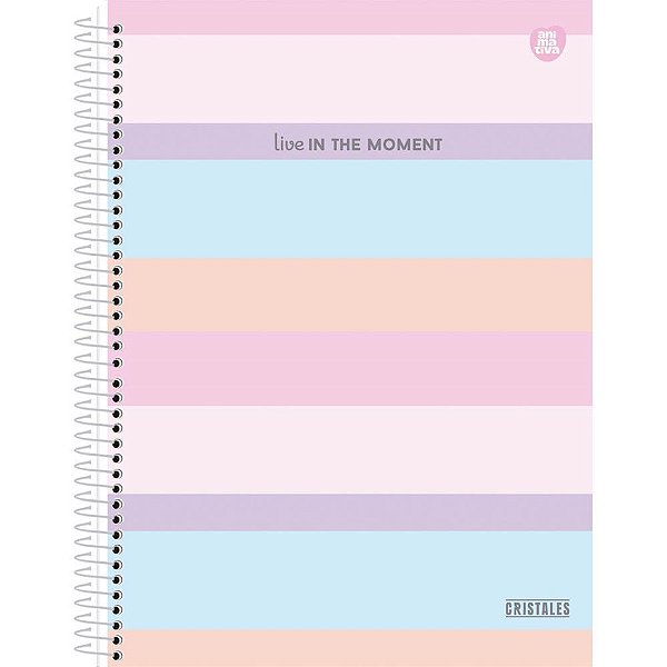 Caderno 01x1 cp.dura colegial cristales 80f - animativa (pct.c/04)