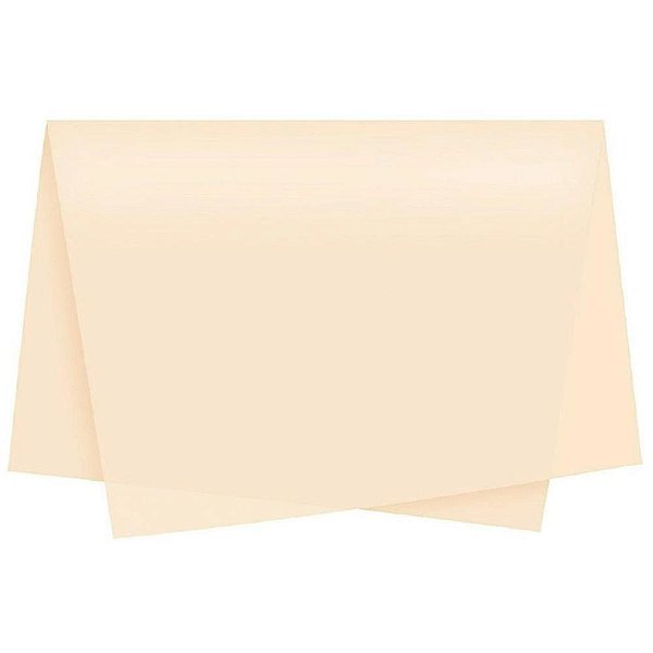 Poli sujinho liso 49x69cm creme - xingo embalagens (pct.c/50)