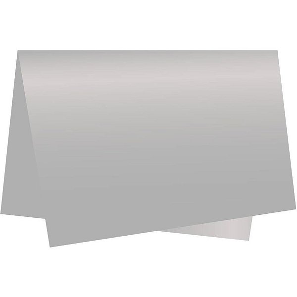 Poli sujinho liso 49x69cm prata - xingo embalagens (pct.c/50)
