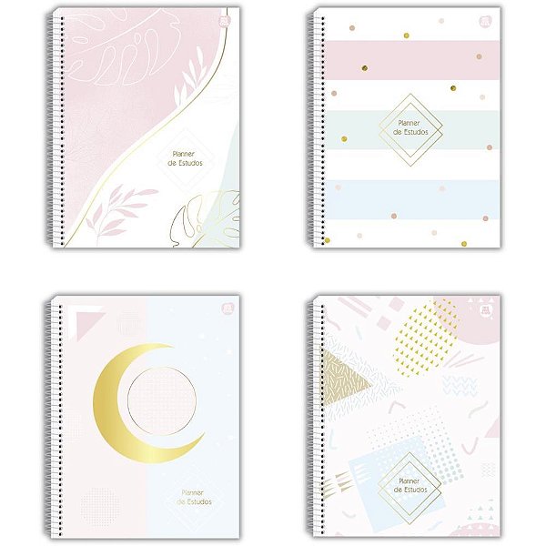 Agenda/planner permanente estudo 84f.179x241mm - animativa (pct.c/04)