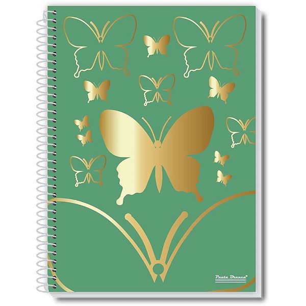 Caderno 10x1 capa dura fly 160fls. - pauta branca (pct.c/02)