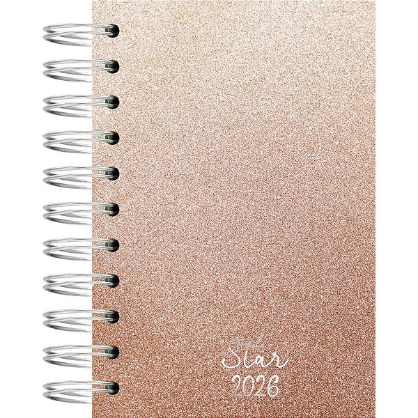 Agenda 2026 star esp cd 100x150 160fls. ro - kit (unidade)