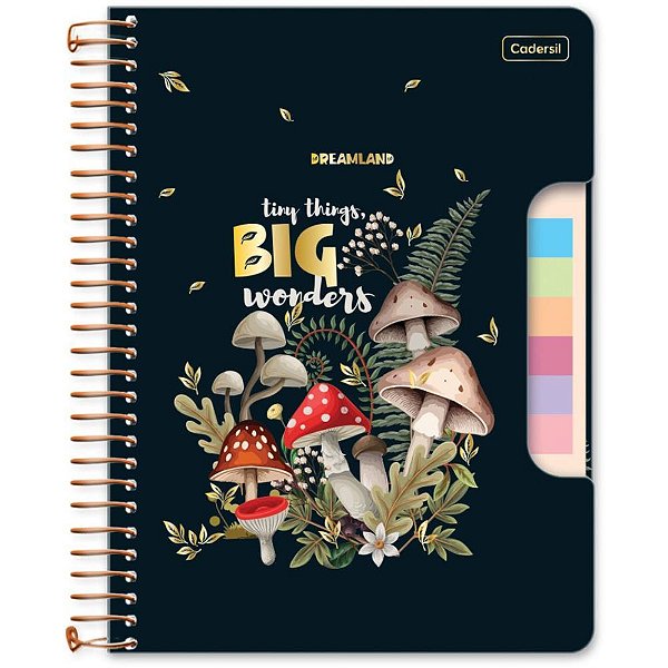 Caderno 01x1 cp.dura colegial dreamland c/blocos ades.80fl(s - cadersil (unidade)