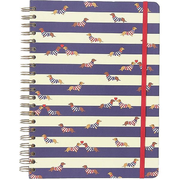 Caderno 10x1 cp.dura colegial praia cachorros 160f - cicero (unidade)