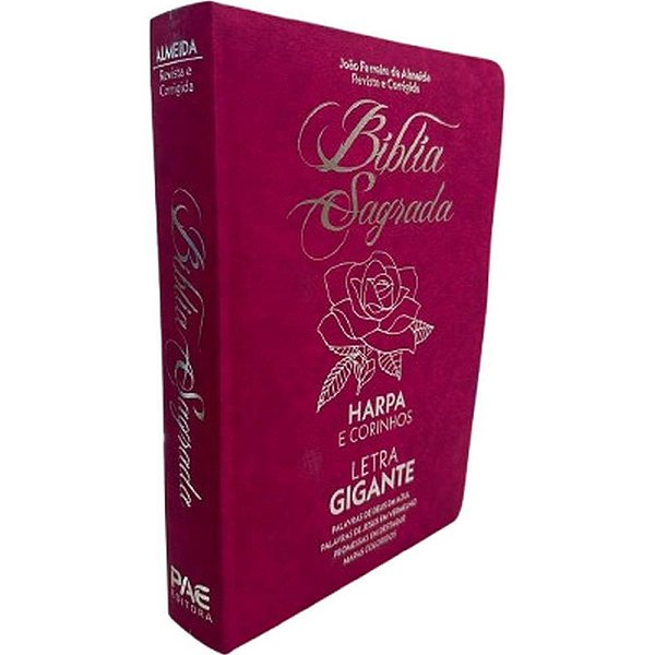 Livro de leitura biblia sagrada letras gd.832pg - pae editora (unidade)