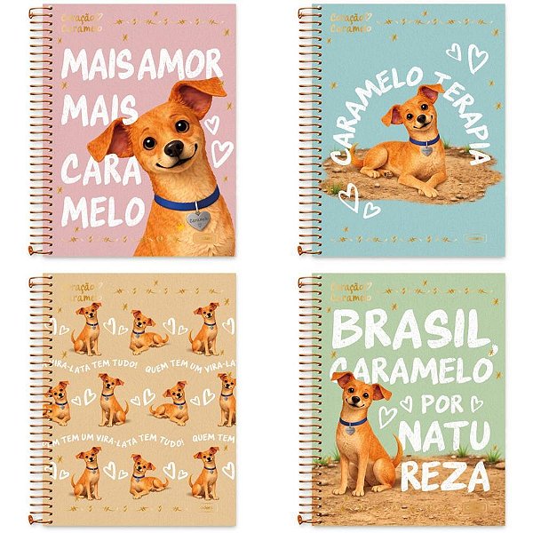 Caderno 10x1 capa dura coracao caramelo 160fls. - cadersil (pct.c/04)