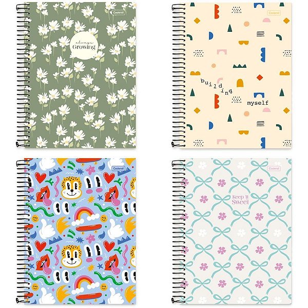 Caderno 10x1 capa dura flip college feminino 160fls. - cadersil (pct.c/04)