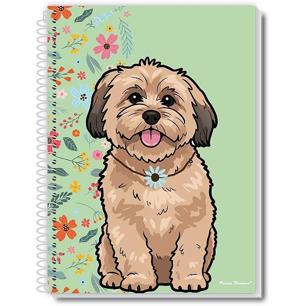 Caderno 01x1 capa dura aumigos 80fls - pauta (pct.c/05)
