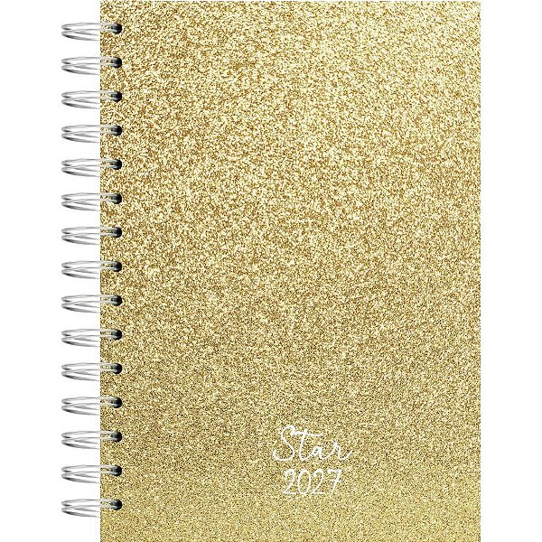 Agenda 2027 star esp cd 14x20cm 160fls dou - kit (unidade)