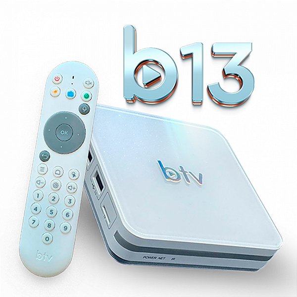 BTV B13