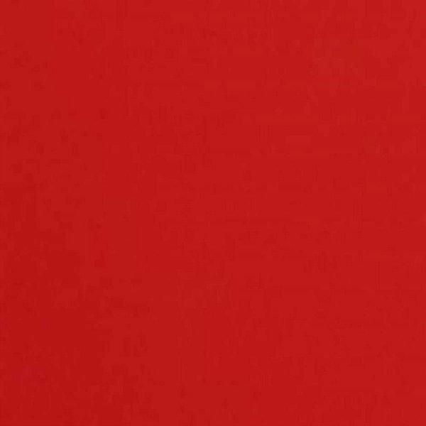 Placa de E.V.A Vermelho Claro 60X40CM 1,8MM Pacote com 10 Unidades
