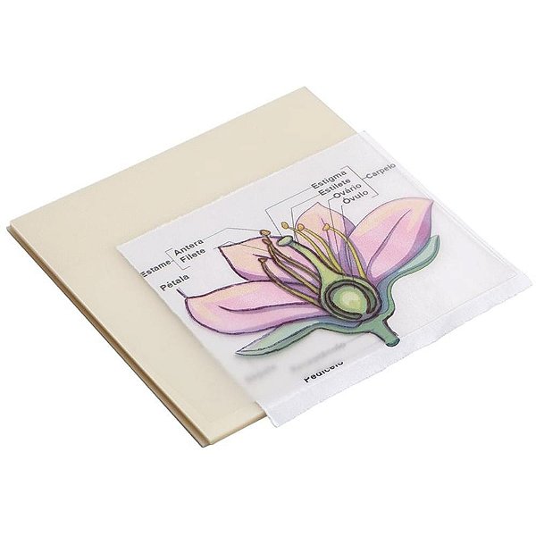 Bloco de Recado Autoadesivo 75X75MM TRIS Holic Cristal - 50 Folhas