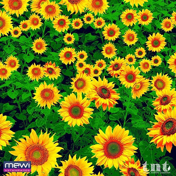TNT Estampado Flores do SOL 1,40M X 25M - 40G