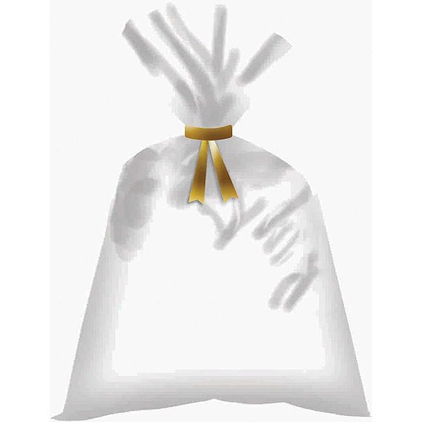 Saco Poli Transparente 20X29CM Incolor  PCT/100