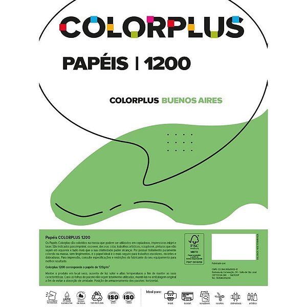Papel Cartolina Dupla Face Color PLUS 48X66CM 120G Verde PCT com 10