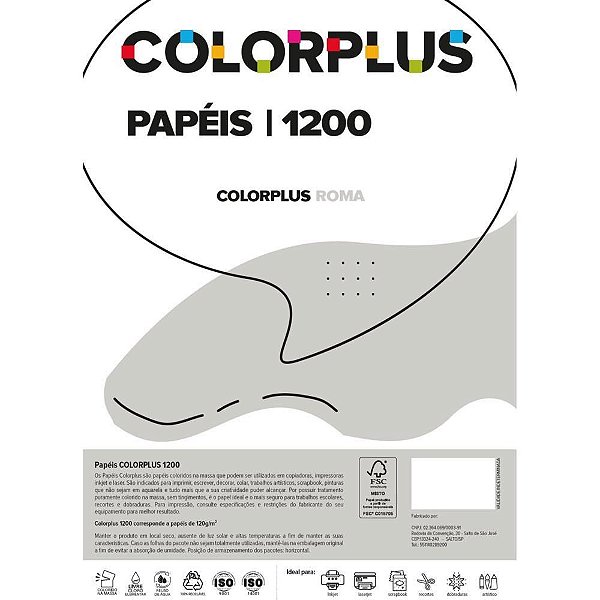 Papel Cartolina Dupla Face Color PLUS 48X66CM 120G Cinza PCT com 10