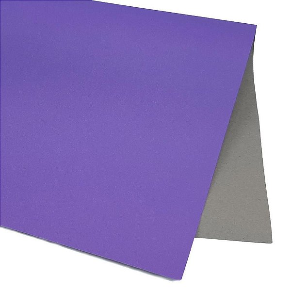Papel Cartão Fosco 48X66CM 200G Roxo - Pacote com 20