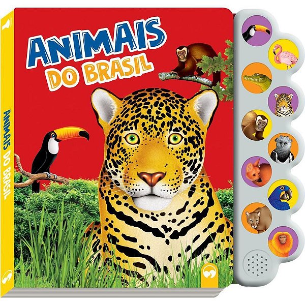 Livro Sonoro Animais do Brasil 29X27 10SONS