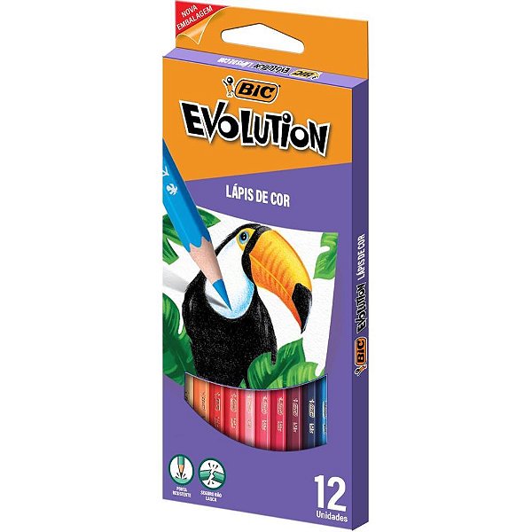 Lápis de COR Sextavado Evolution 12 Cores