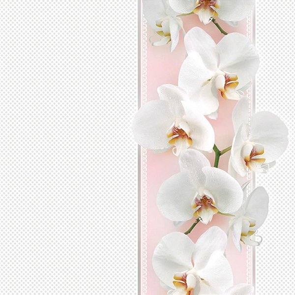 Guardanapo para Decoupage Orquideas Brancas 33X33CM PCT com 20