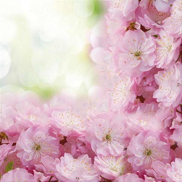 Guardanapo para Decoupage FLOR Real 33X33CM PCT com 20