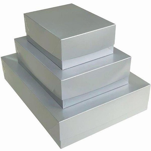 Caixa para Presente com Tampa PQ 19X14,5X7,5 Prata PCT com 05