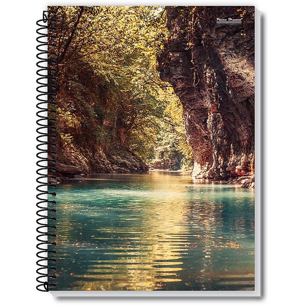 Caderno Espiral 1/4 Capa Dura NEW 200 Folhas - Pacote com 05 Unidades