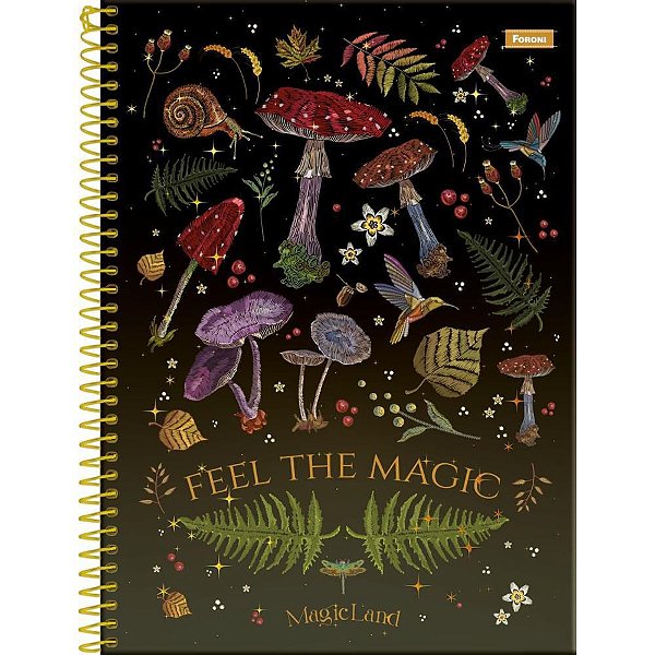 Caderno 10X1 Capa Dura Magic LAND 160 Folhas Pacote com 04