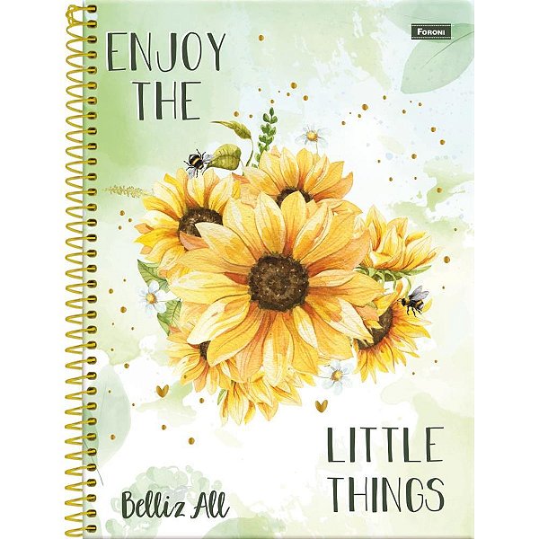 Caderno 10X1 Capa Dura Belliz ALL 160 Folhas Pacote com 4
