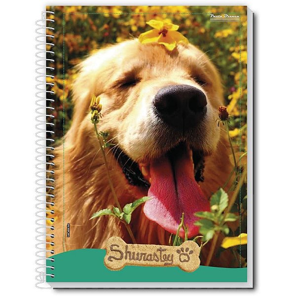 Caderno 01X1 Capa Dura Shurastey 80FLS PCT com 05