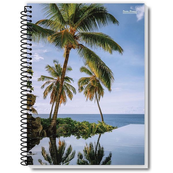 Caderno 01X1 Capa Dura NEW 96FLS PCT com 05