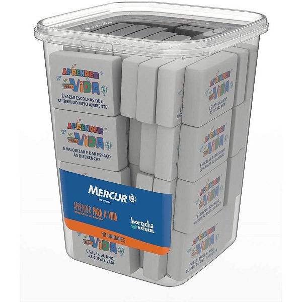 Borracha Decorada Aprender para Vida Sortidos Pote 40