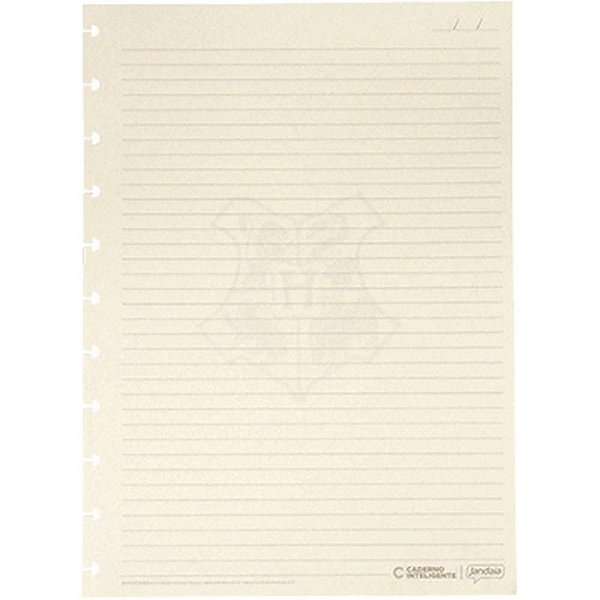 Caderno Inteligente Refil Grande HARRY Potter Paut. 50F