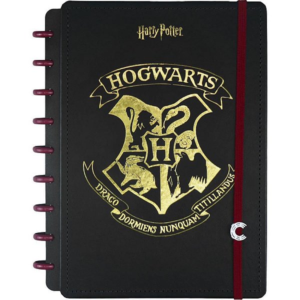 Caderno Inteligente Medio HARRY Potter