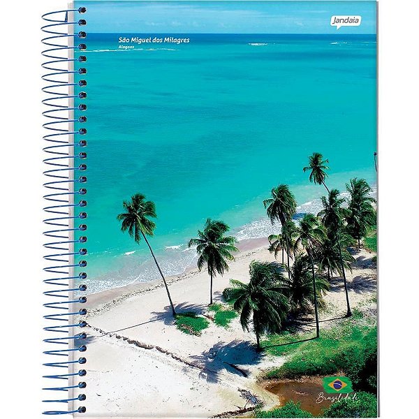 Caderno Espiral 1/4 Capa Dura Brasilidade 200 Folhas Pacote com 5