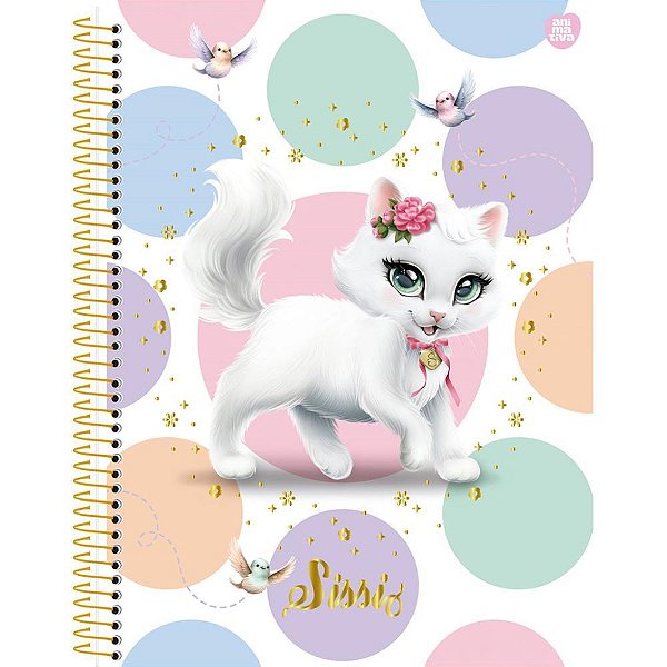 Caderno 10X1 Capa Dura Sissi 160 Folhas Pacote com 04