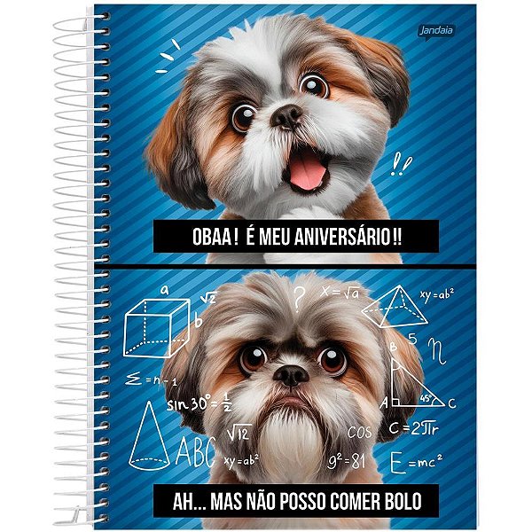 Caderno 1X1 Capa Dura PETS Love 80 Folhas - Pacote com 4 Unidades
