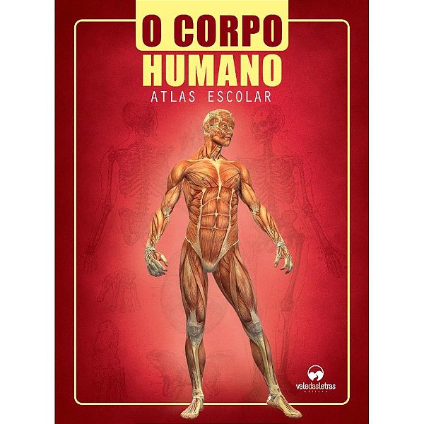 Livro ATLAS Corpo Humano Escolar 32 Páginas - Pacote com 5