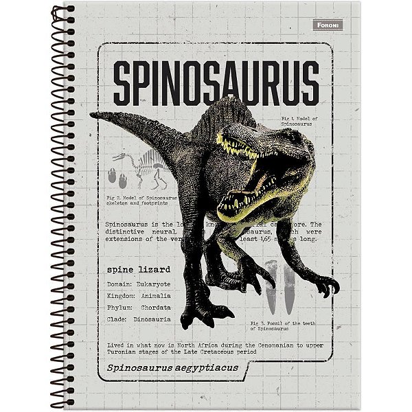 Caderno 15X1 Capa Dura Sauros 240 Folhas Pacote com 2 Unidades