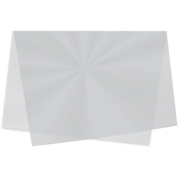 Sujinho Poli Liso 49X69CM Incolor - Pacote com 50 Unidades